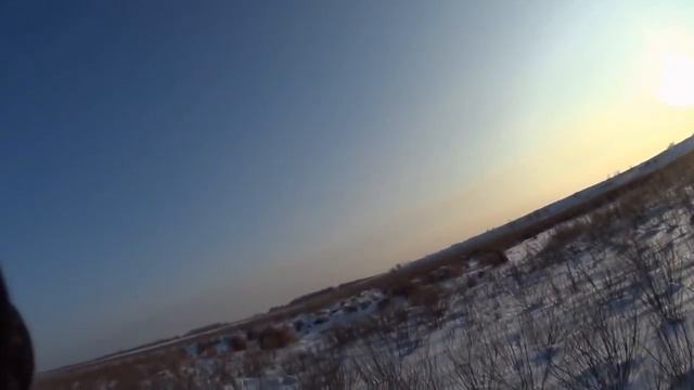 Охота на зайцев - Яркие моменты 2016-2017.mp4 смотреть онлайн