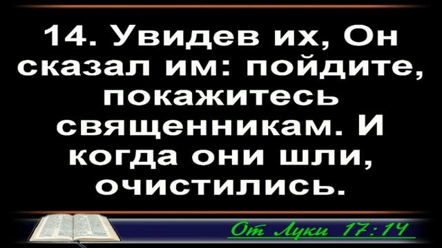 16 ноября 2022 / Вечернее богослужение 19:00 / Церковь Свет Жизни смотреть онлайн
