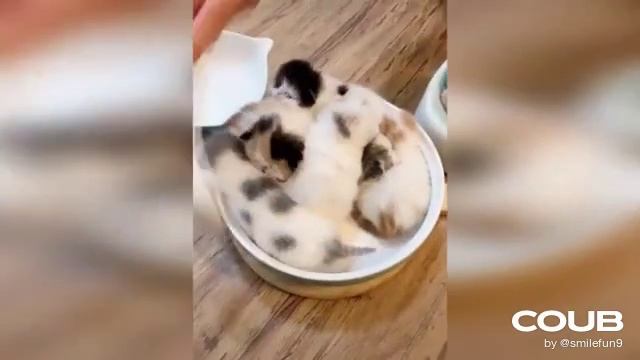 1611147162_looped_1611147161.mp4 смотреть онлайн