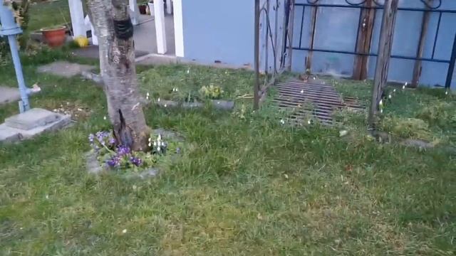 Дача в Германии! НА 8 МАРТА ДАРЯТ ВСЕМ ПОДАРКИ А Я... ? смотреть онлайн