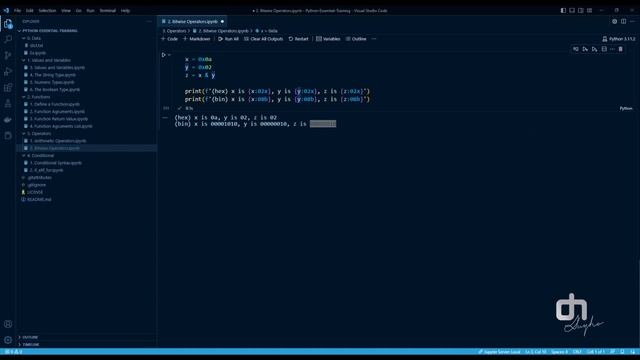 12. Bitwise Operators in Python: A Comparison and Contrast for Powerful Bit Manipulation! смотреть онлайн
