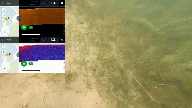 Правду ли показывает Deeper CHIRP+ сонар? Проверка показаний эхолота Deeper CHIRP+. (Растительность смотреть онлайн