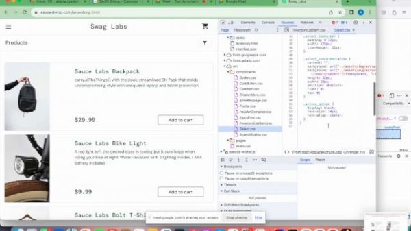 Beginner: Test Automation with JAVA and Selenium; TestCases4 with Page Objects for a Web Applicatio