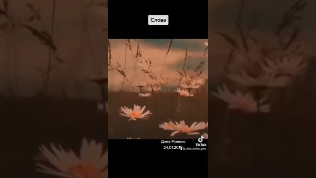 "Слова" стихотворение 24.01.2018 г., автор и чтец Дина Минько, автор видео Даша смотреть онлайн