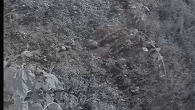 Неманская 17 Часть2 Наглые дети и......... смотреть онлайн