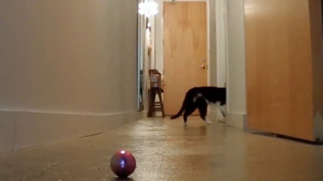 Модные аксессуары для волос