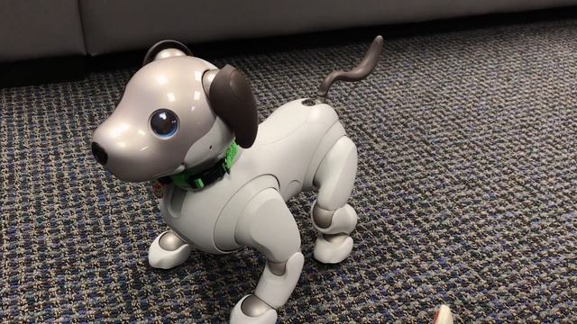 Aibo ERS-1000 Goes To Work! (Part 2)