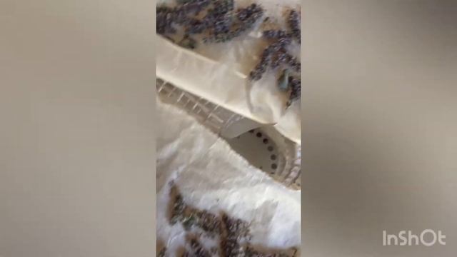 Заготавливаю Цветки Мяты. смотреть онлайн