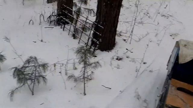 Мотобуксировщик мужик 20л/с гусеница 500 заводим в -18. смотреть онлайн