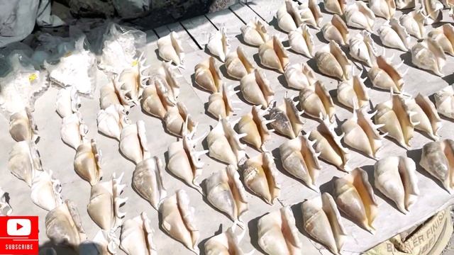 Marble Rocks, Dhuandhar Falls | BHEDAGHAT, JABALPUR смотреть онлайн