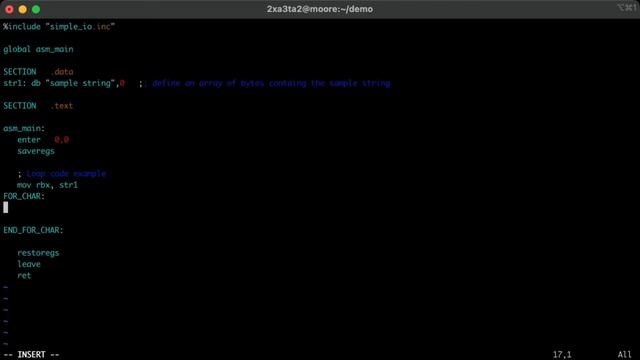 NASM For Char Example Compared to Python Loop смотреть онлайн