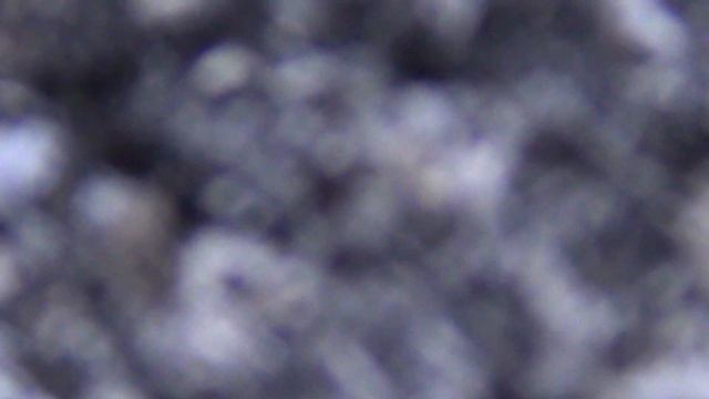 Что будет если с Энцефалитным клещом в холодном пепле от сигареты, профилактика укуса клеща