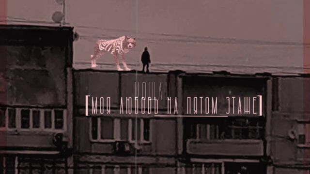 wcmv—моя любовь на пятом этаже|фор смотреть онлайн