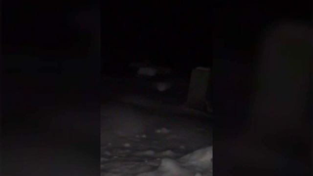 ГОРЯЧЕЕ РАЗОБЛАЧЕНИЕ | КАК ВАС ОБМАНЫВАЮТ КОЛДУНЫ И ВЕДЬМЫ В ИНТЕРНЕТЕ | ВАЛЕРИЙ КОШТ смотреть онлайн