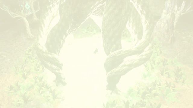 How to Unlock Camera in Zelda: Tears of the Kingdom | Full Tutorial | GameWalkthrough (NoCommentary смотреть онлайн