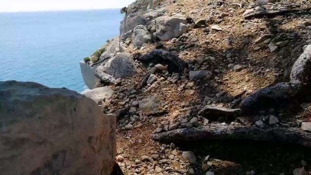 Горные козлы ??