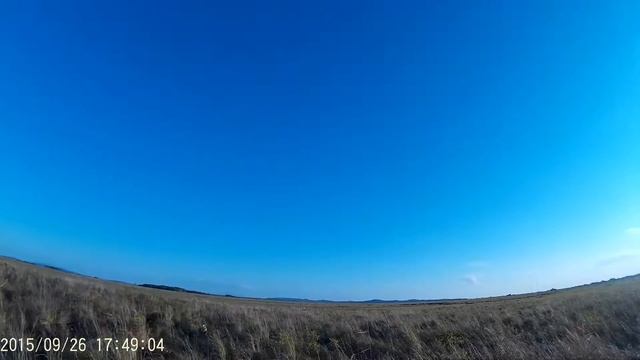 Японские журавли