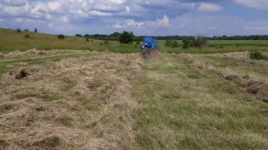 Трактор Т - 40 Сгребает Сено в Валки Граблями СОЛНЫШКО !