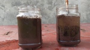 Как узнать кислотность почвы в домашних условиях