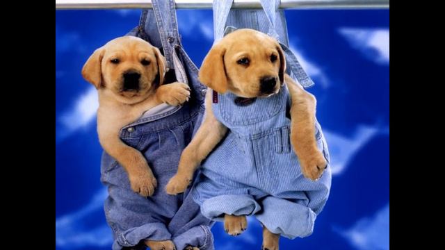 Ник,прост так)))) смотреть онлайн