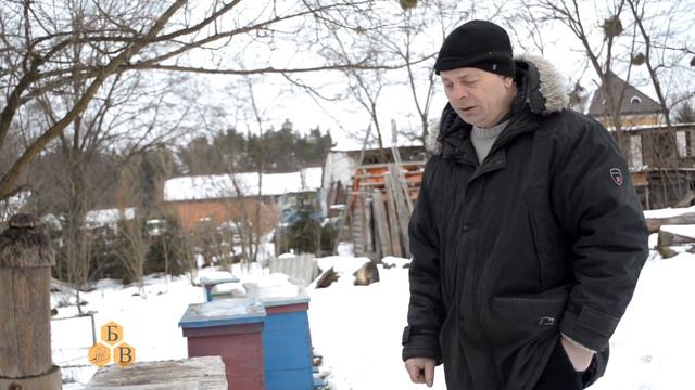 Зимовка пчёл под тёплым куполом смотреть онлайн