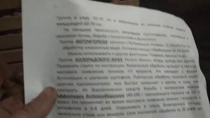 Картофель сорт ИМПАЛА