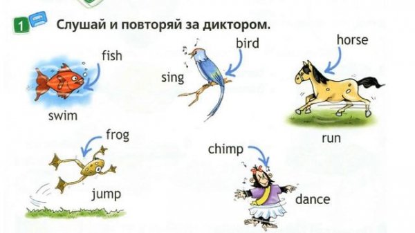 Spotlight 2 Аудио стр. 62 / Тренажер для запоминания /Тема ЖИВОТНЫЕ / My animals