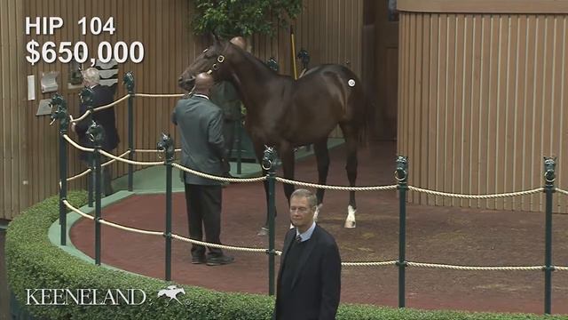 2017 Keeneland September Sale - Hip 104, War Front - Theyskens' Theory colt brings $1,200,000 смотреть онлайн