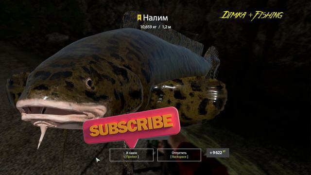 Русская рыбалка 4.🎣🦈 р. Белая 🐳💦 ТРОФЕЙ от LATORSO 👀 смотреть онлайн