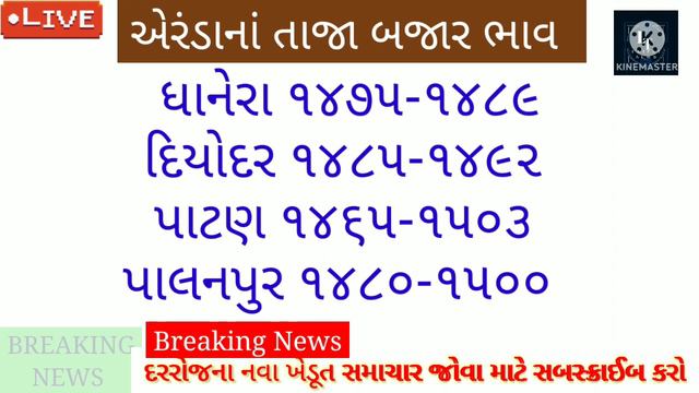 Arenda na bhav 17-6-2022 l Rajkot marketing yard and patan yard bhav l Gujarat farmers l castor смотреть онлайн