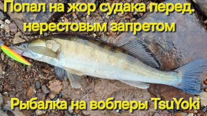 ПОПАЛ НА ЖОР СУДАКА! РЫБАЛКА НА ВОБЛЕРЫ  TsuYoki