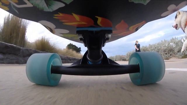 Adventures of Nikko the Malamute - skateboarding смотреть онлайн