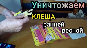 Обработка пчел от клеща варроа ранней весной. Применение пластин флувалидез против варроатоза весной