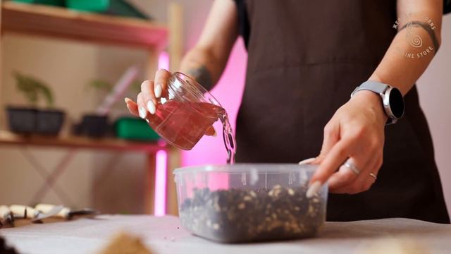 Creative Gardening Tips