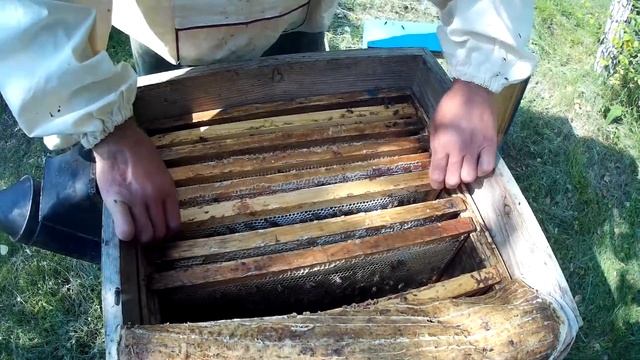 Делаем медовик смотреть онлайн