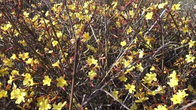 04.03.2022 Приходи.mp4