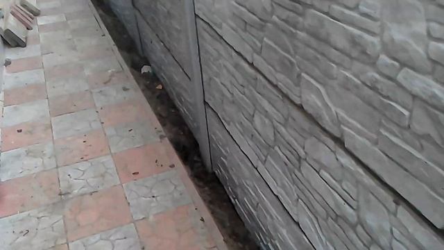 Сланец с бутом (карпатский камень) смотреть онлайн