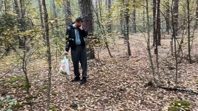 Грибы белые лес октябрь 2022 смотреть онлайн