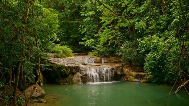 Как Красиво и Божественно Поет Соловей в Лесу! Чарующие Звуки Природы для Души и Отдыха. смотреть онлайн