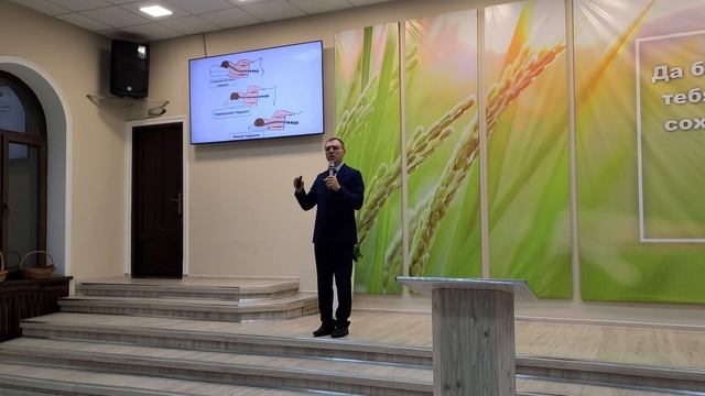 Здоровый позвоночник - 2 (Осанка) смотреть онлайн