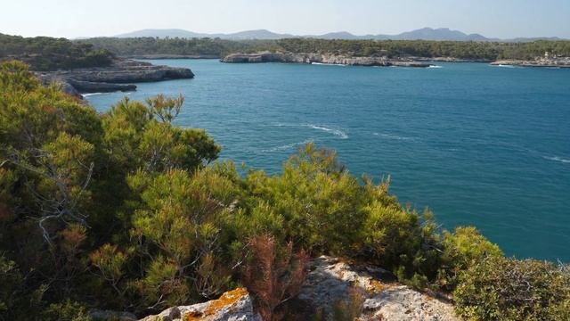 Wild Spain - Capítulo 36 - Parque Natural de Mondragó, Mallorca, Islas Baleares. смотреть онлайн