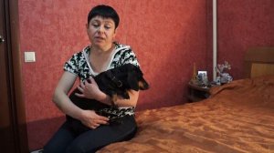 О ПОРОДЕ ТАКСА//ЧТО НУЖНО ЗНАТЬ ПРИ ВЫБОРЕ ТАКСЫ//ЧАСТЬ 2