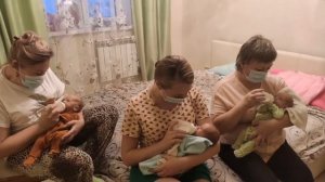 тройняшки ромашки