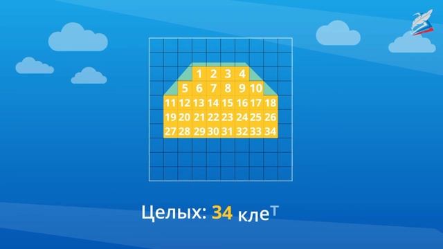 Измерение площади с помощью палетки смотреть онлайн