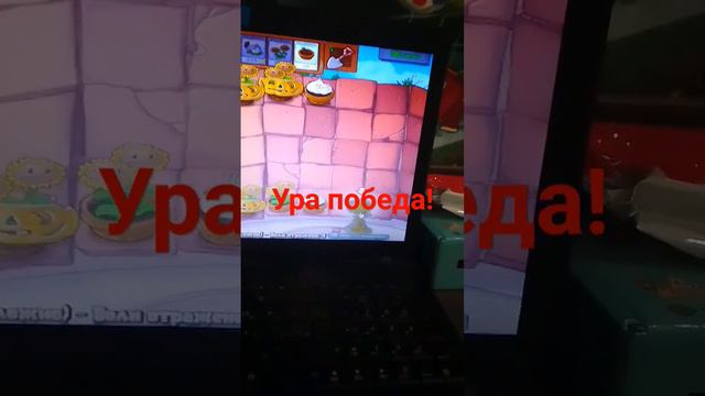 золотой подсолнух смотреть онлайн