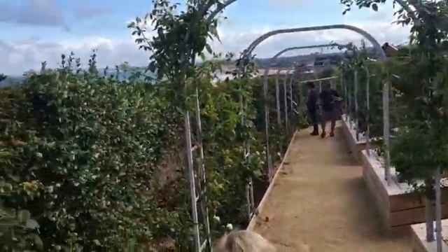 Christian Dior@Le Jardin  De Christian Dior@ Дом и сад Кристиана Диора