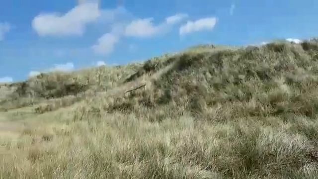 Северное море. Берега Дании. Сегодня... @Ионелла Тимуш. смотреть онлайн