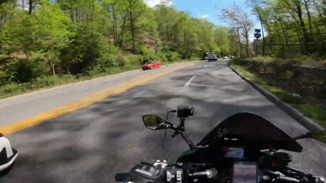 Close calls, crazy drivers, and cute critters смотреть онлайн