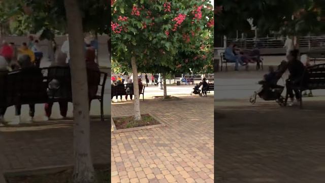 Новороссийск #вечер#море смотреть онлайн