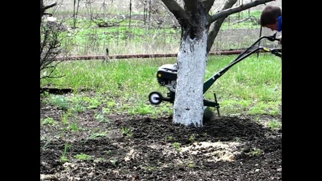 Окучивание деревьев с помощью мотокультиватора смотреть онлайн